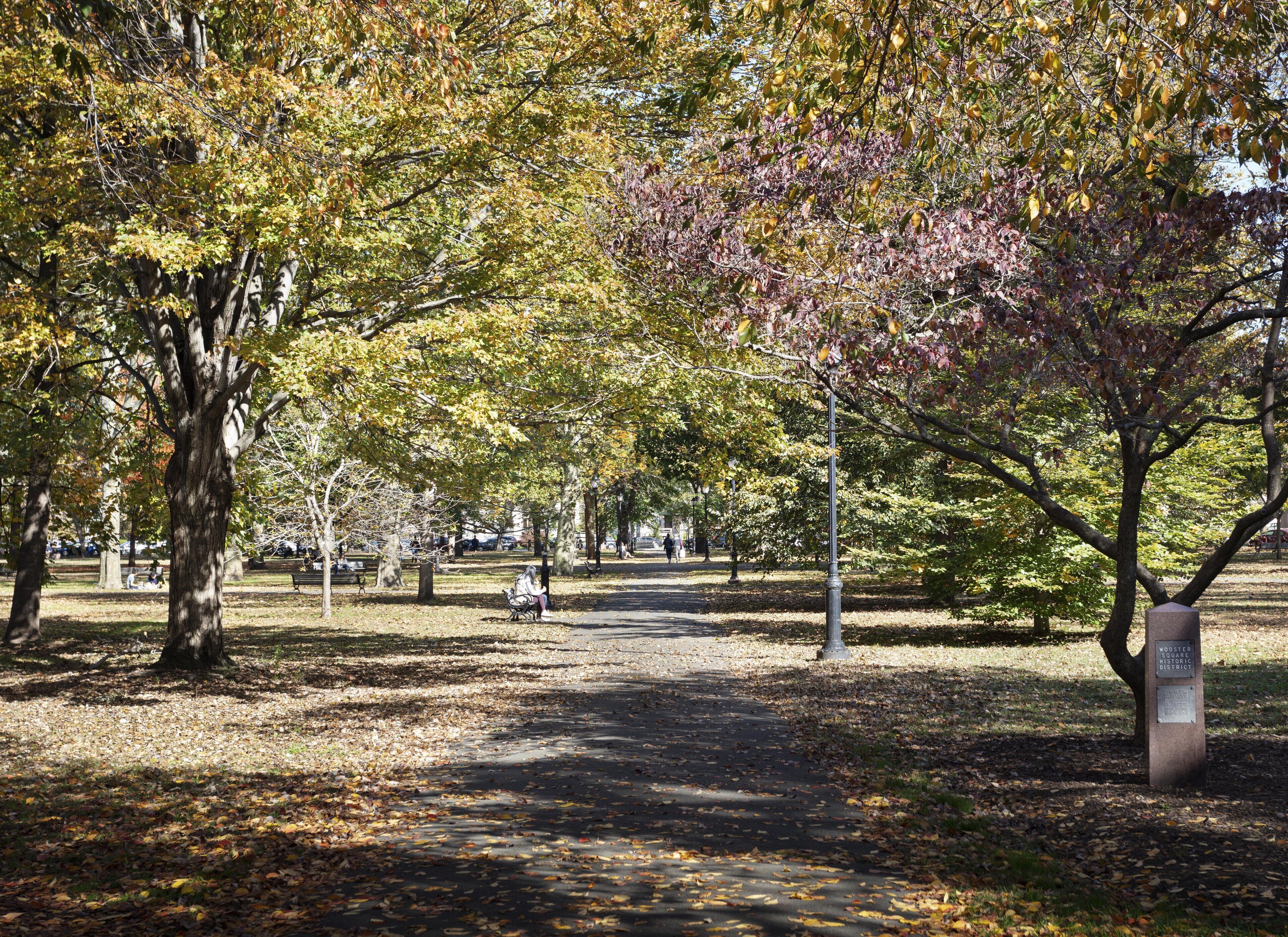 Graduate by Hilton New Haven