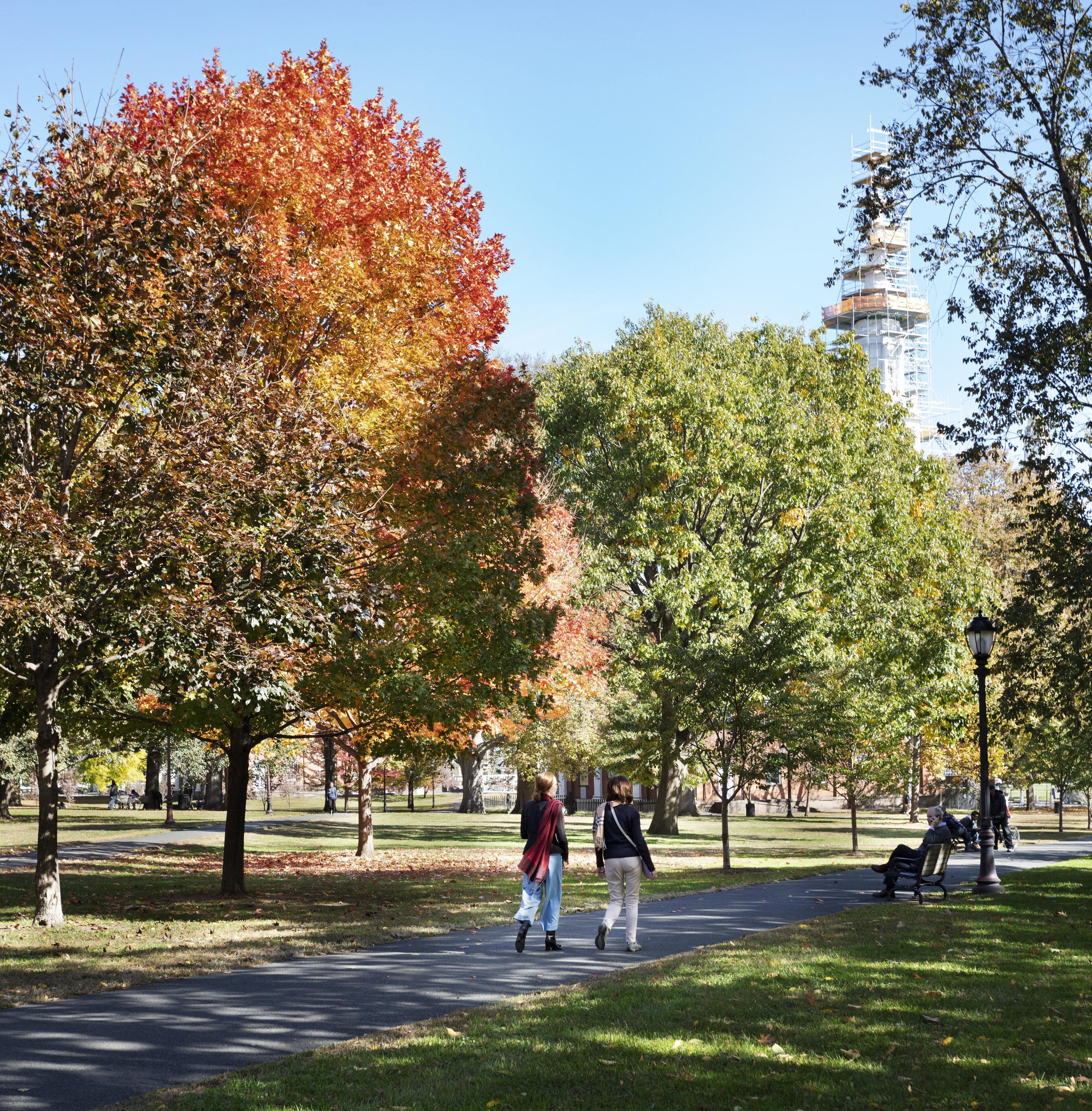 Graduate by Hilton New Haven