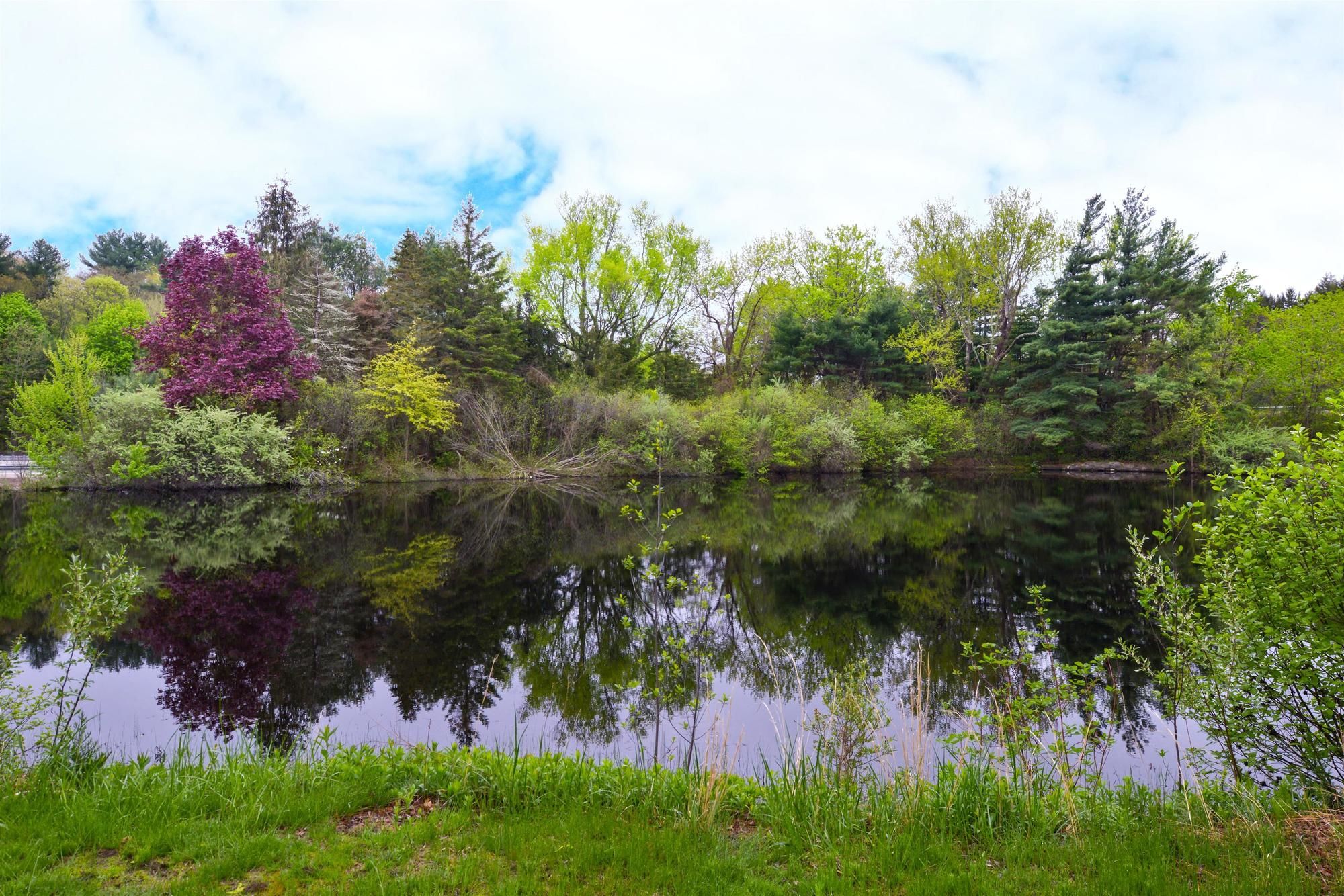 Americas Best Value Inn Putnam