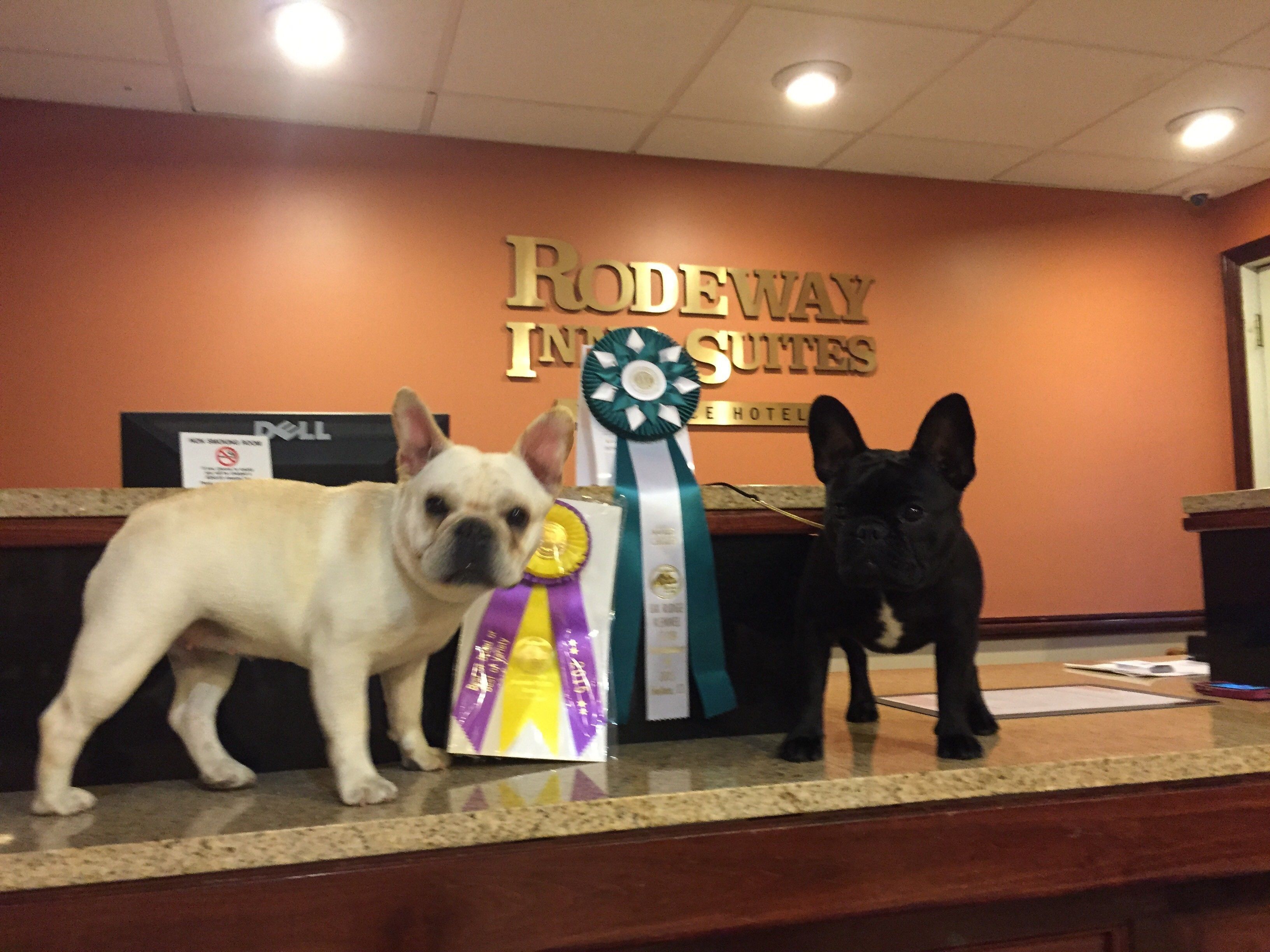 Americas Best Value Inn Torrington