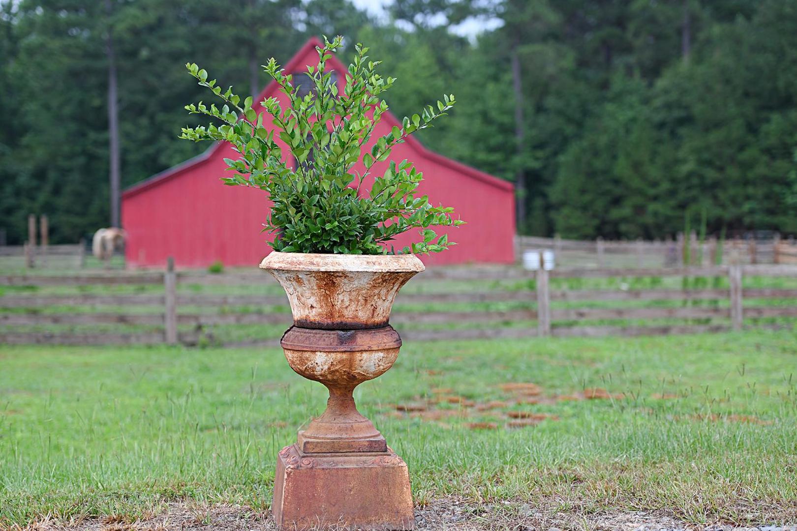 Coulter Farmstead