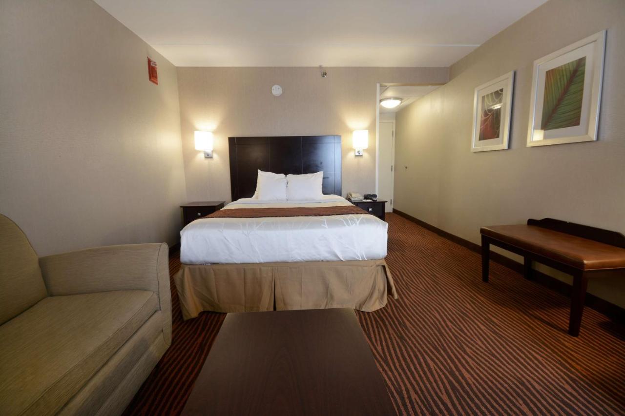 Best Western Executive Hotel Of New Haven-west Haven