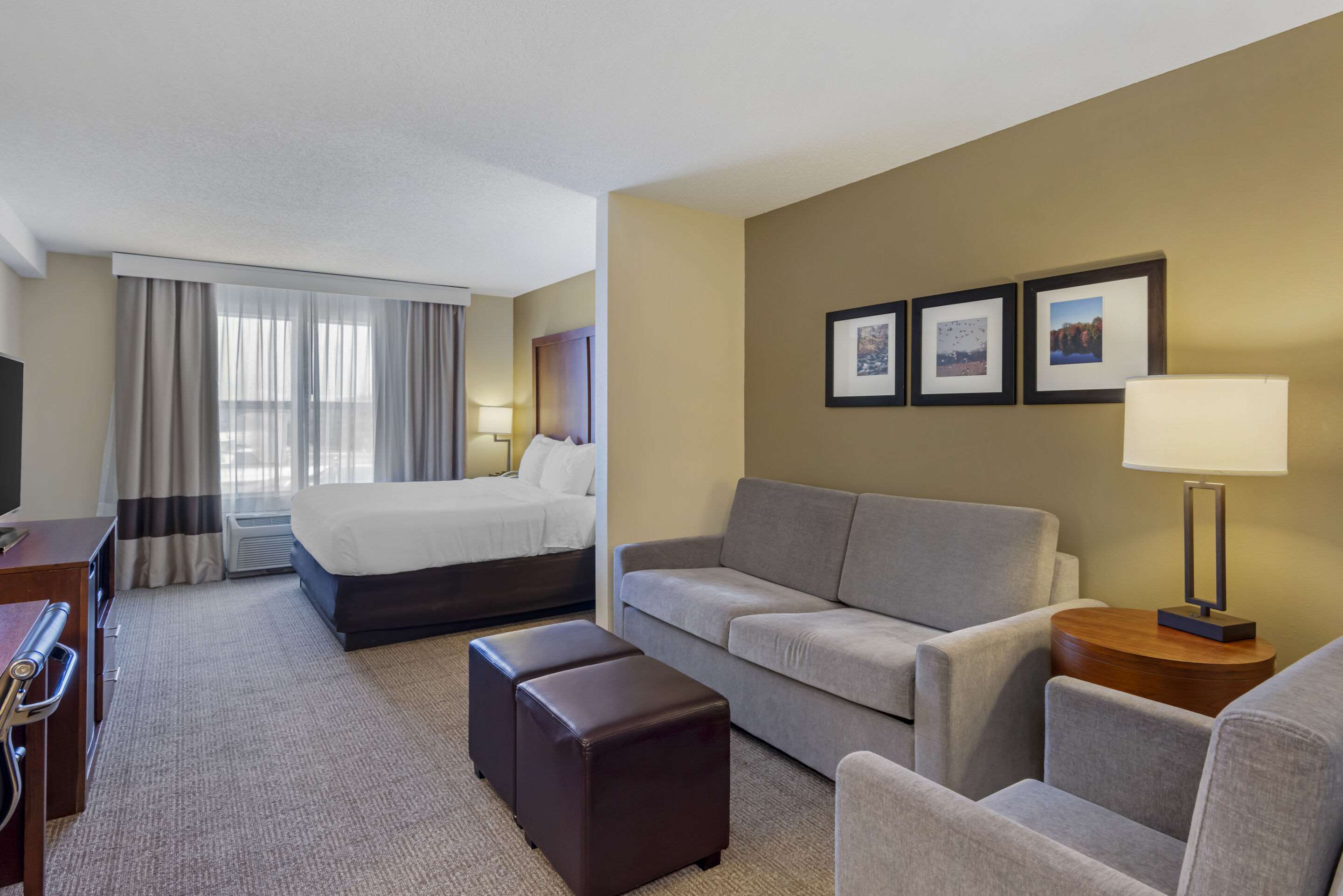 Comfort Inn & Suites