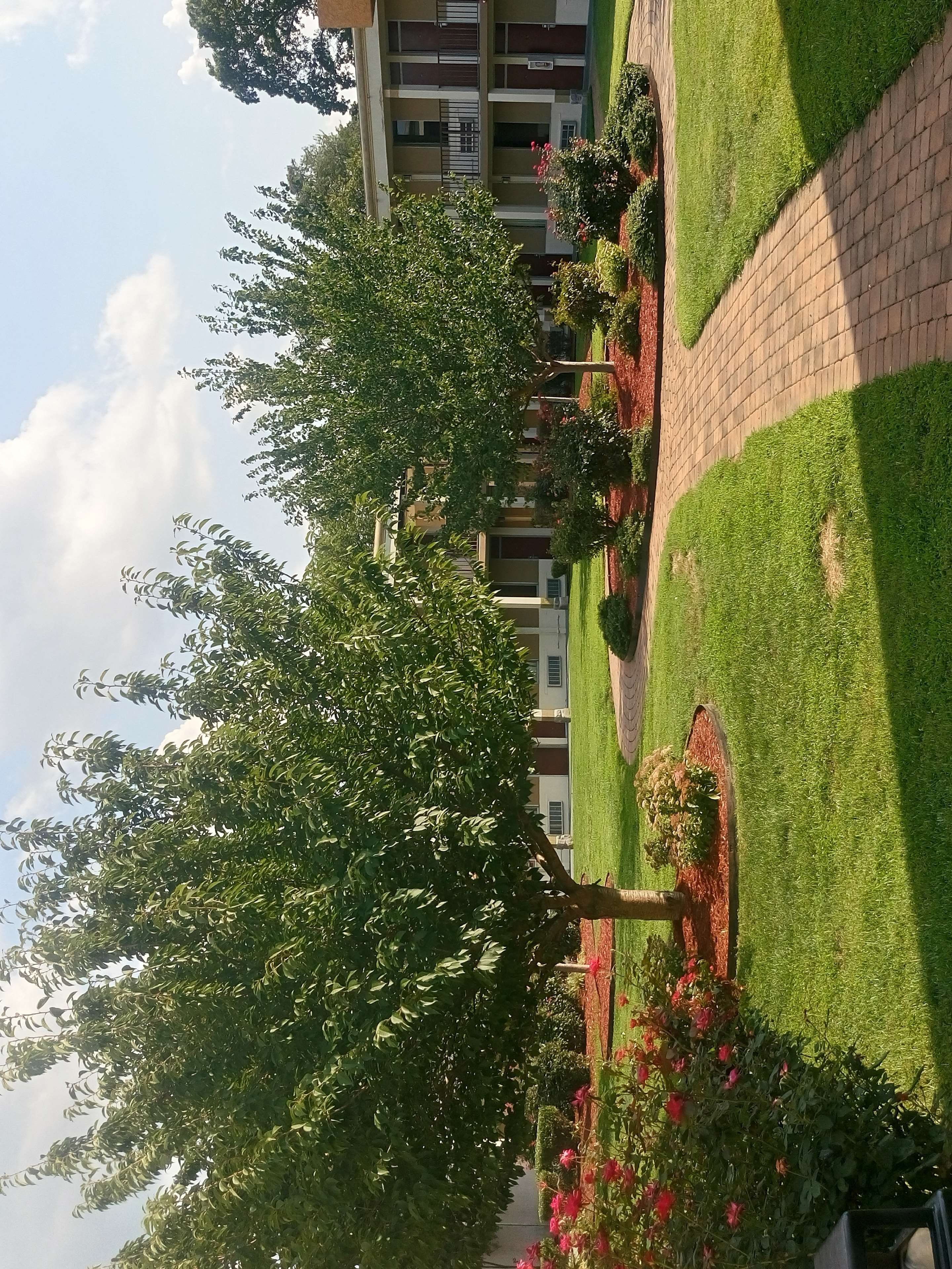 Super 8 by Wyndham Dover