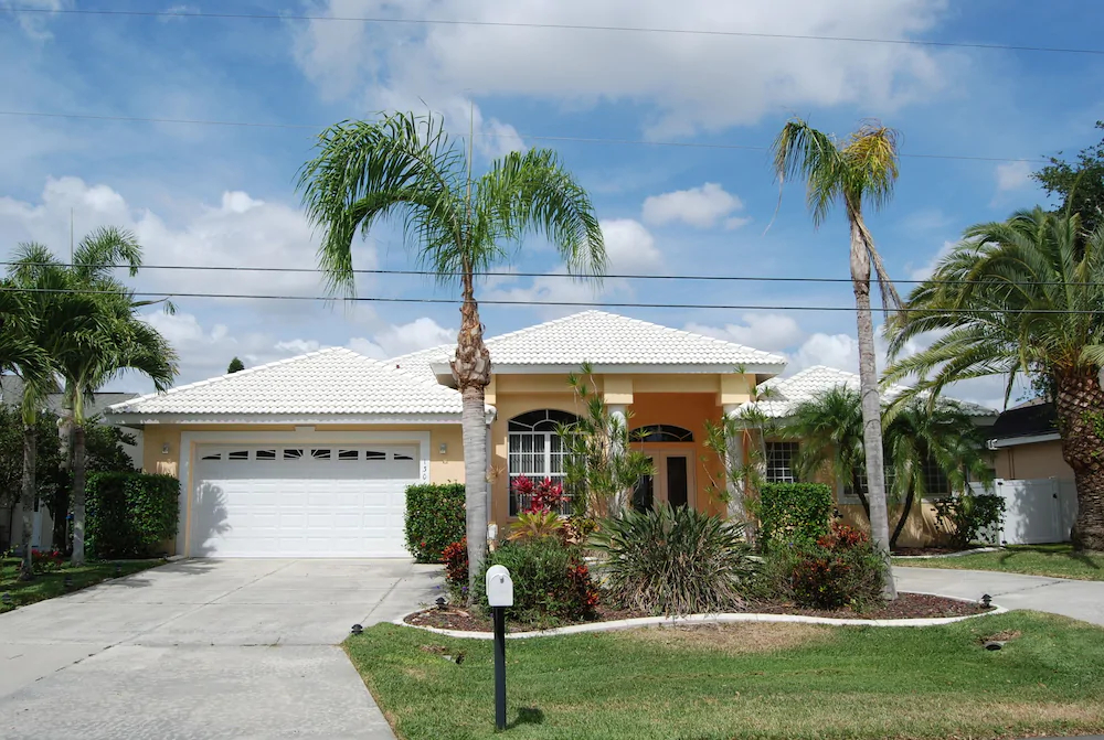 House Sunflower by Vacationhit