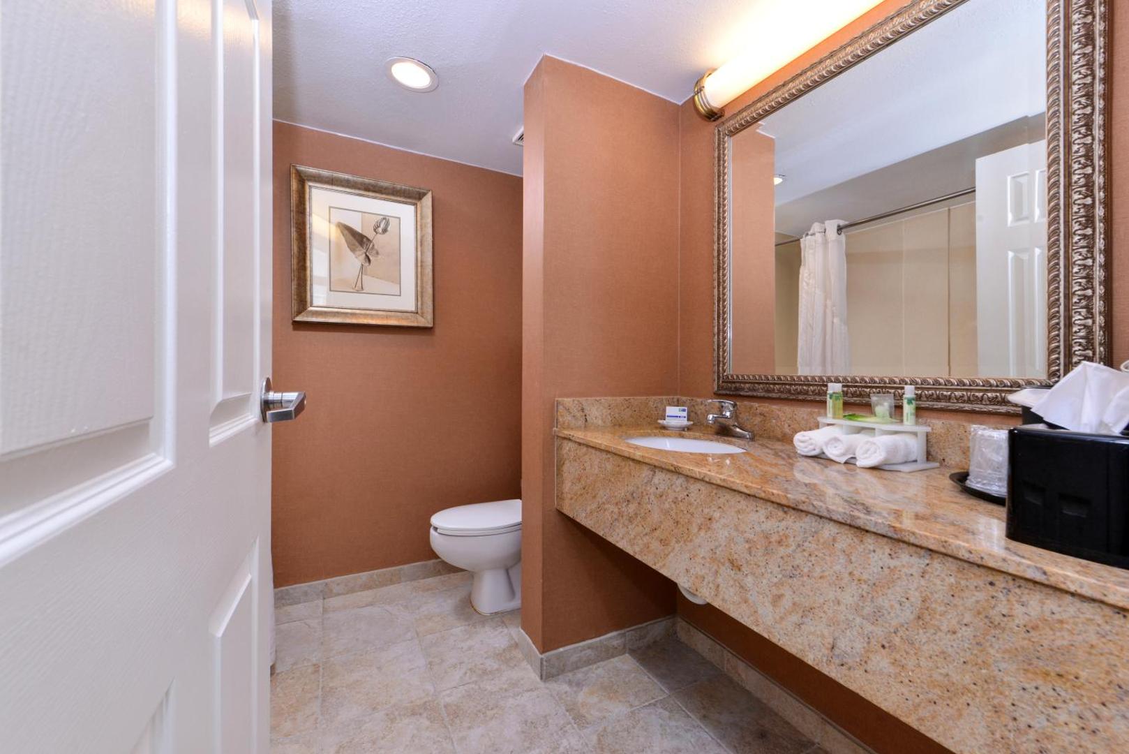 Holiday Inn Express Clearwater East - Icot Center