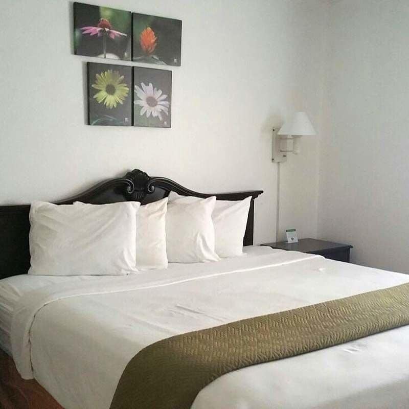 Rodeway Inn Clearwater - Central