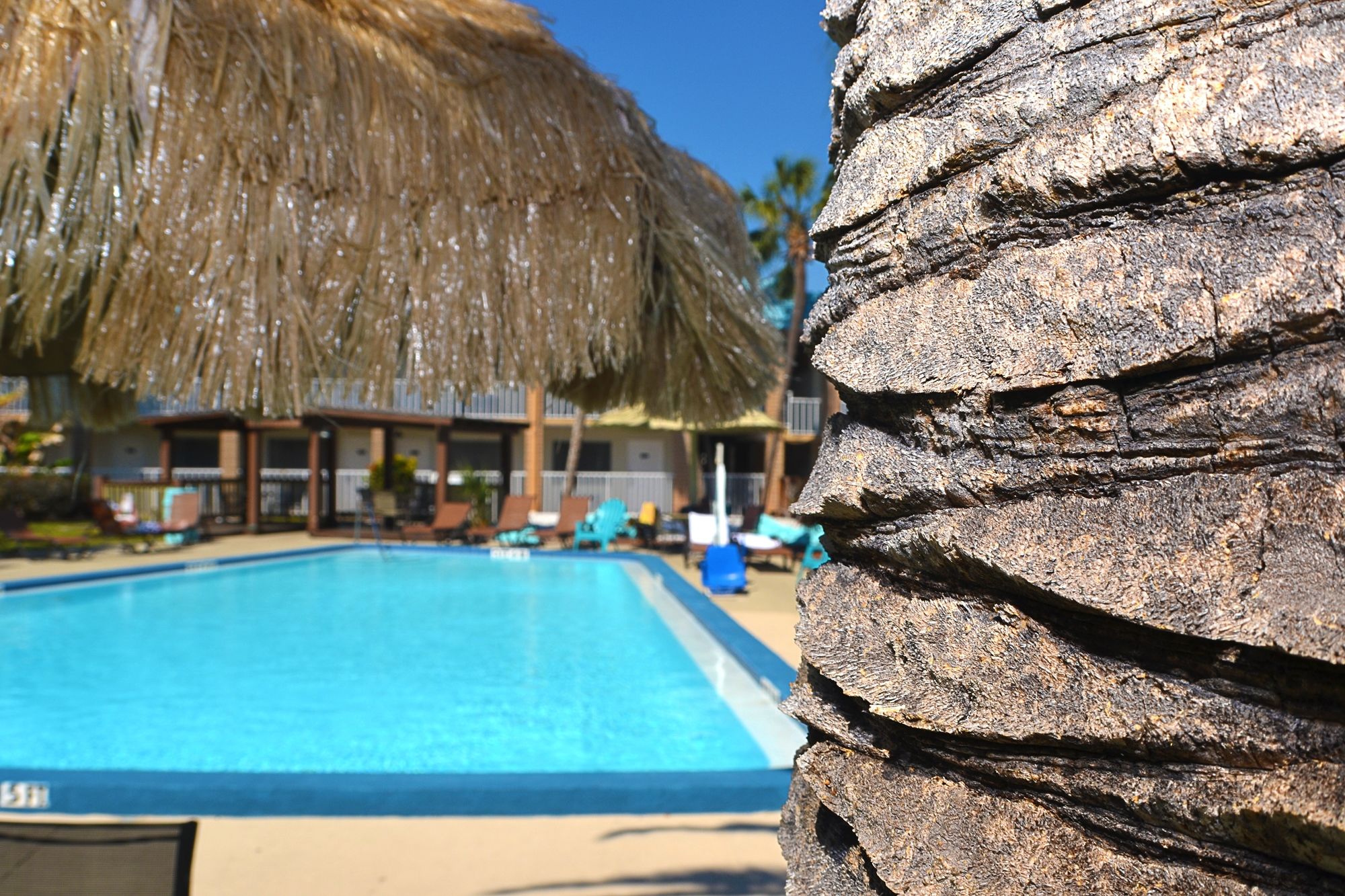 Rodeway Inn Clearwater - Central