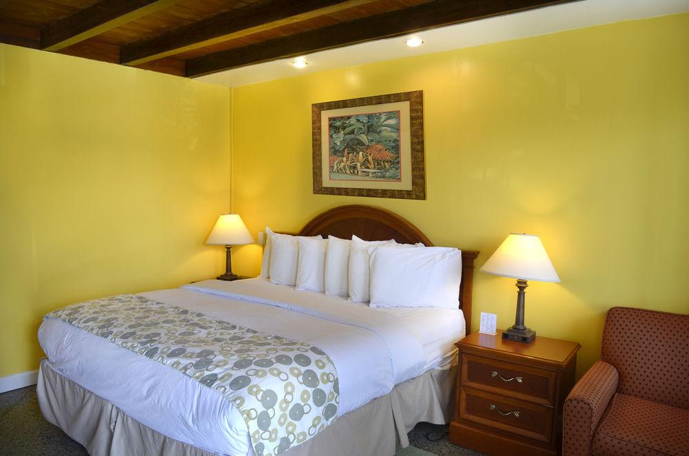 Dream Inn