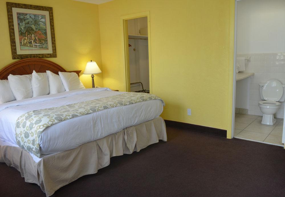 Dream Inn
