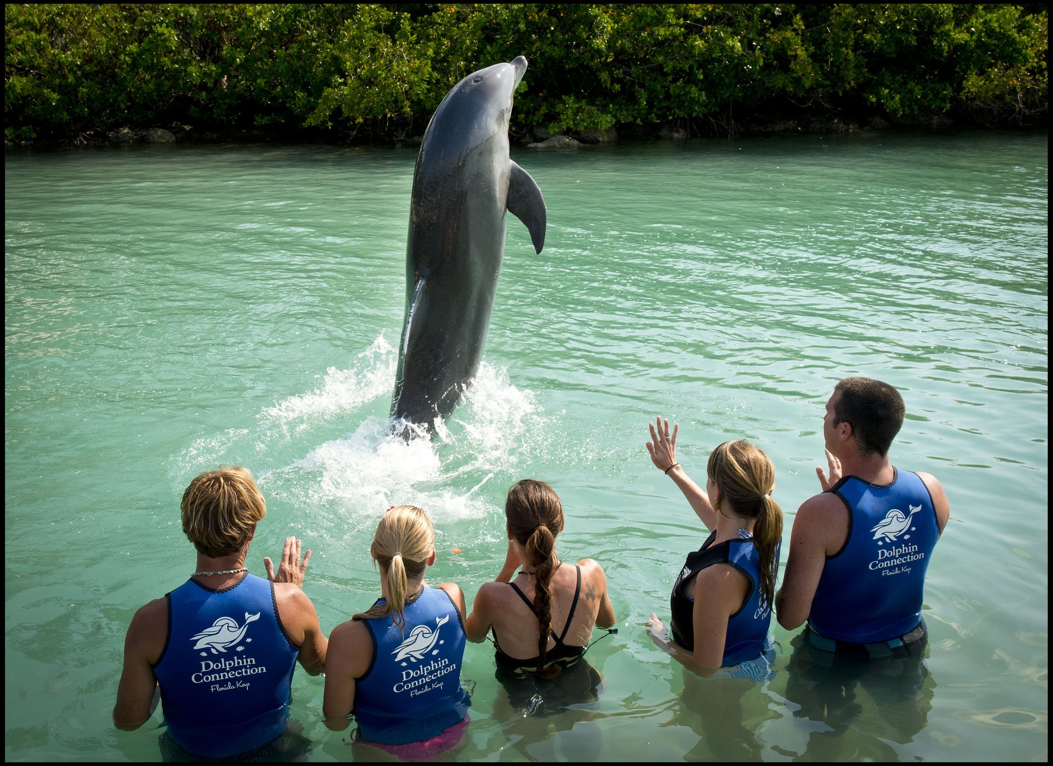Hawks Cay Resort