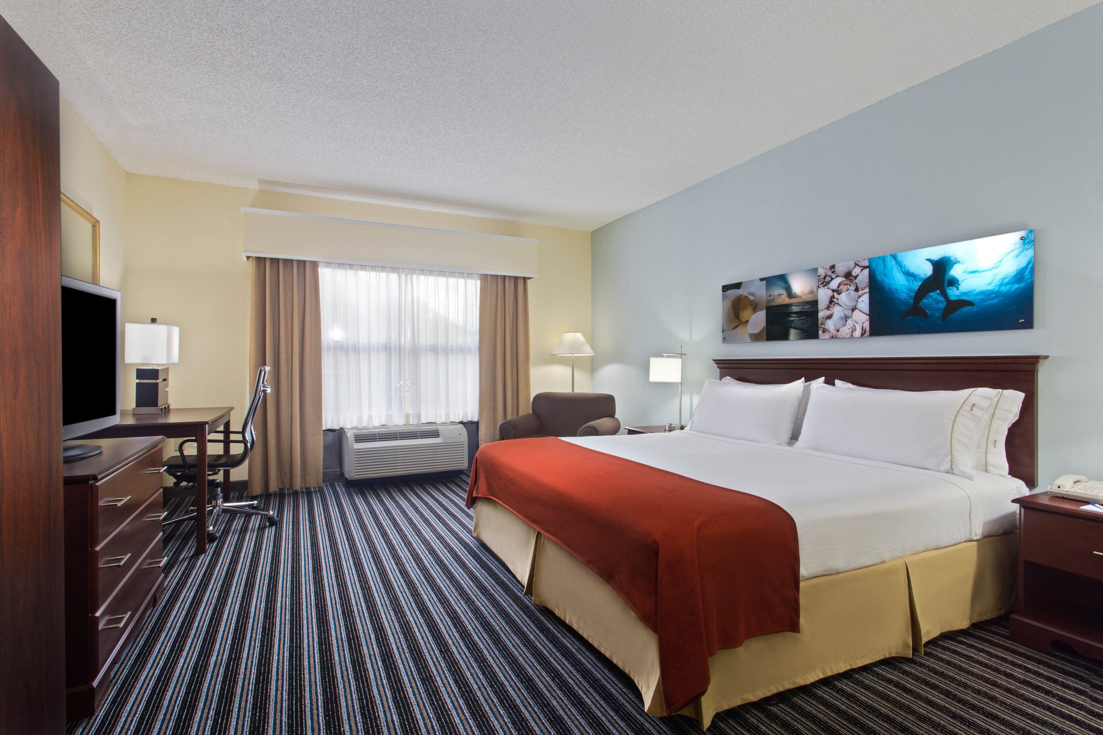 Holiday Inn Express & Suites Clearwater North - Dunedin