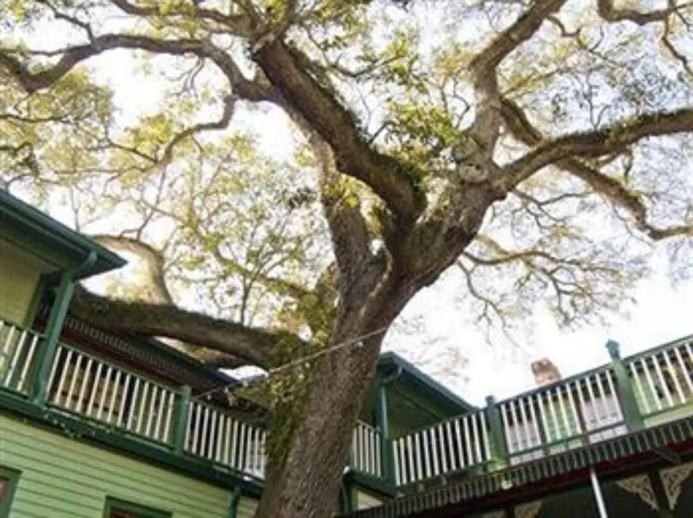 Florida House Inn