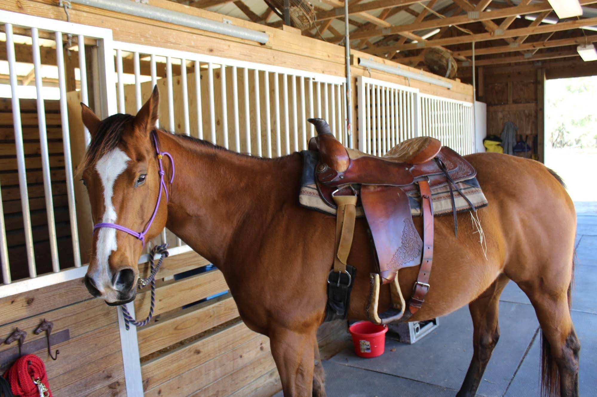 Rock Pointe Ranch