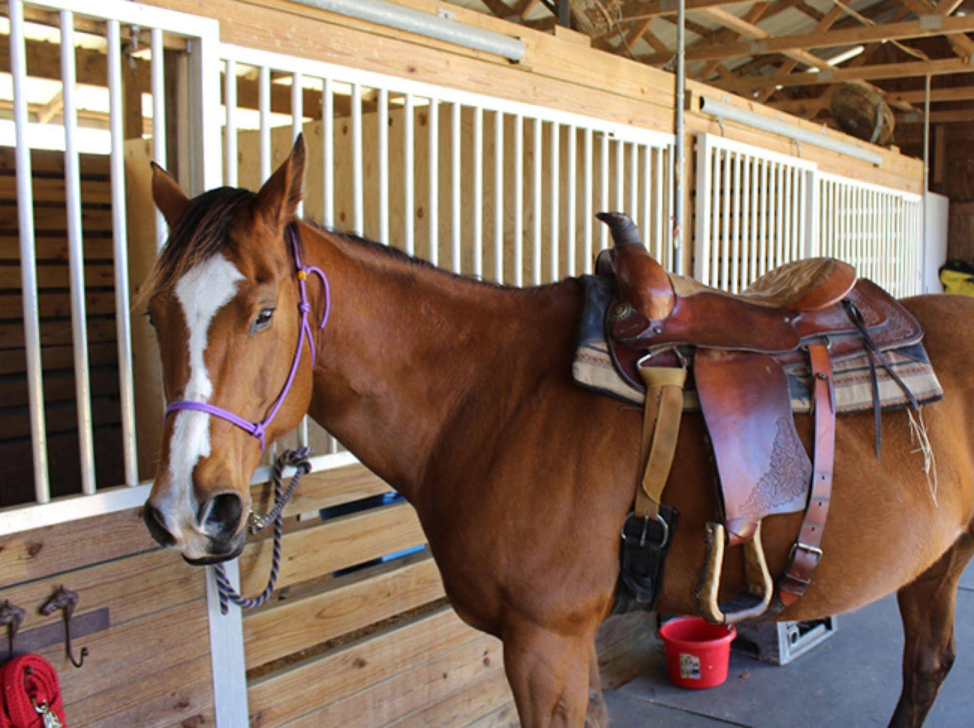 Rock Pointe Ranch