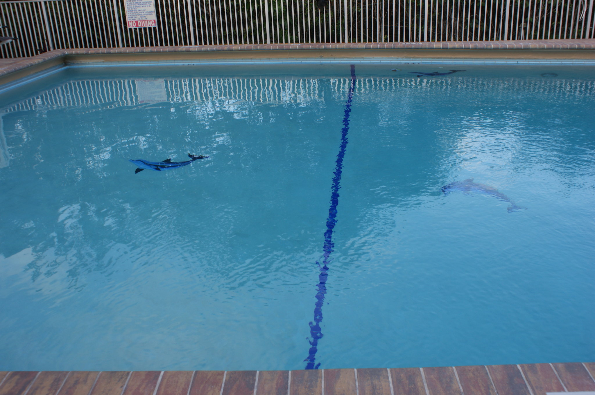 Days Inn by Wyndham Fort Lauderdale-Oakland Park Airport N