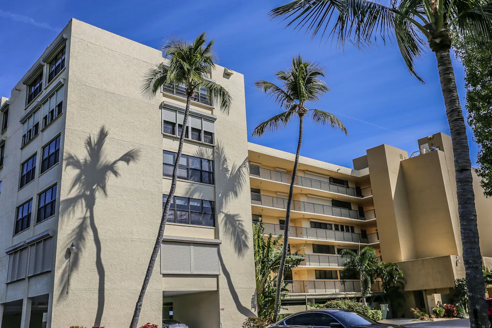 Palms