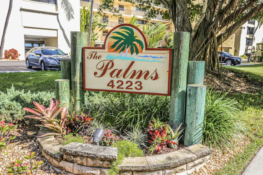 Palms