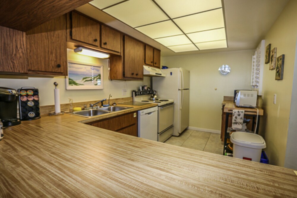 Sun Caper by RedAwning