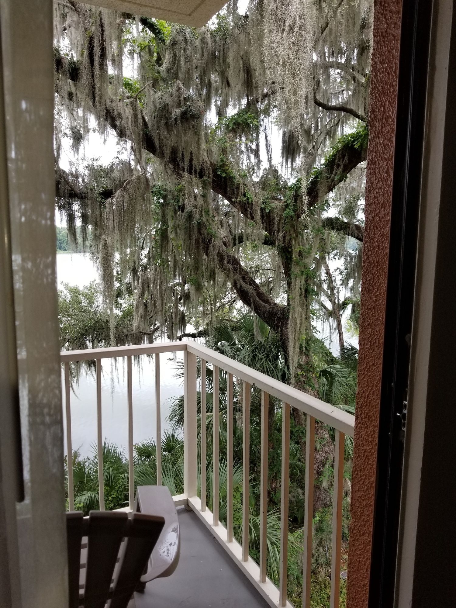 Stayable Select Gainesville