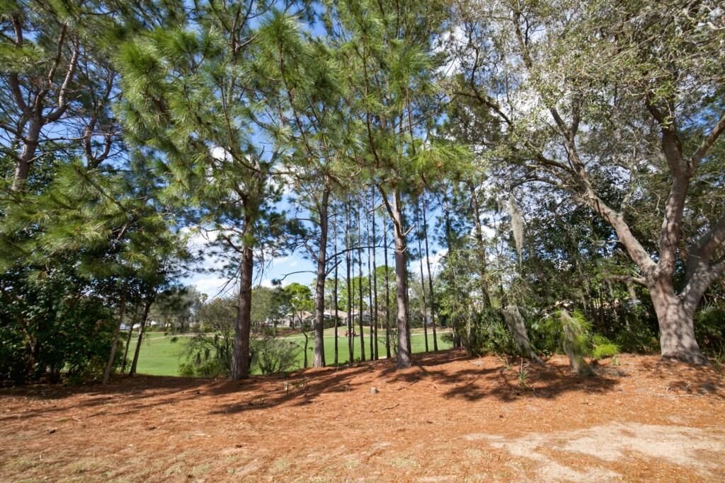 Dawn's Southern Dunes Vacation Home