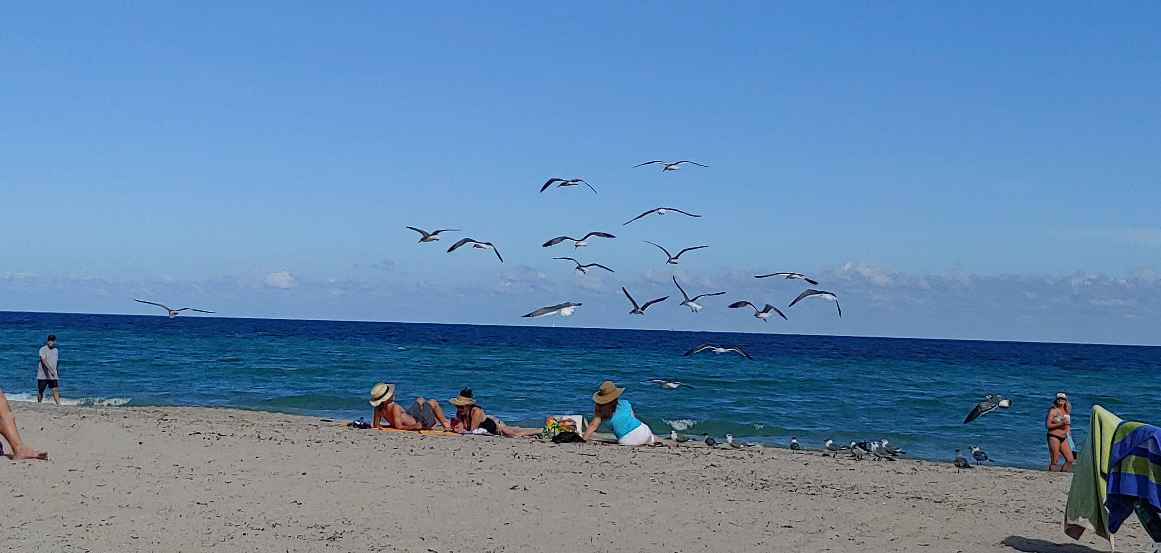 Costa Hollywood Beach Resort by Cielo Stays