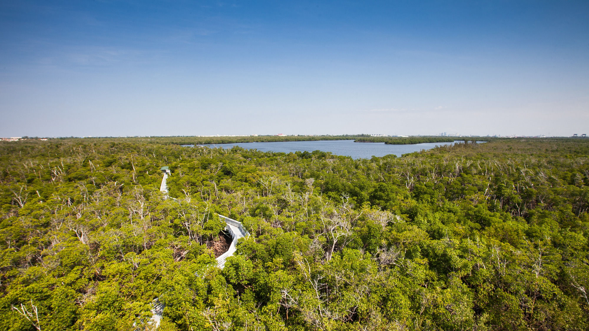 Makani Beach House 333