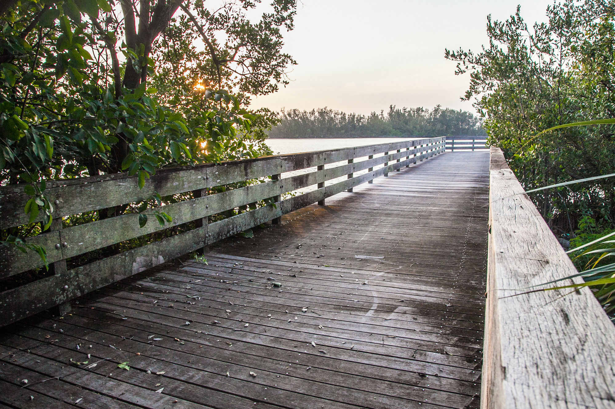 Makani Beach House 333