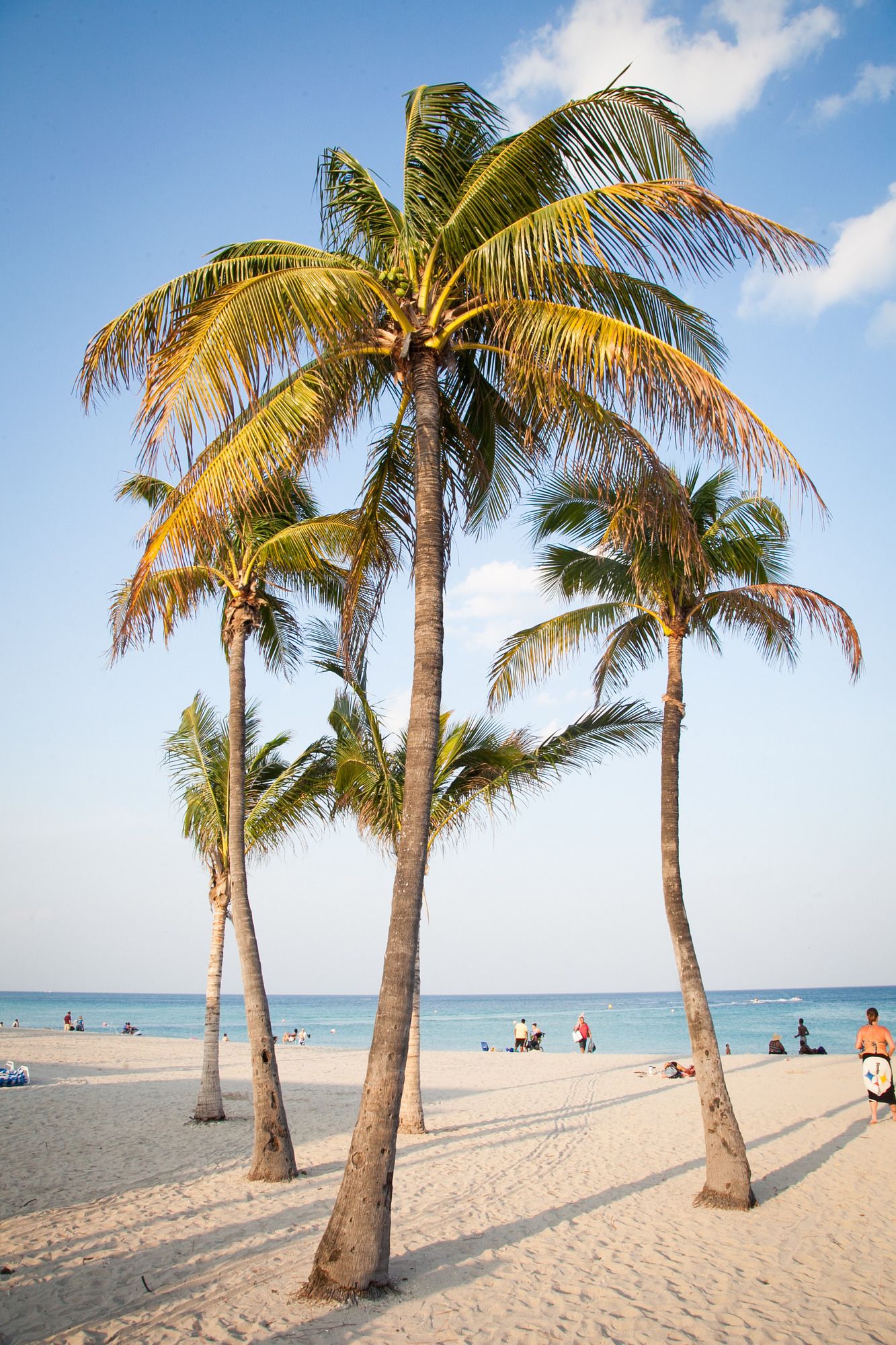 Makani Beach House 333