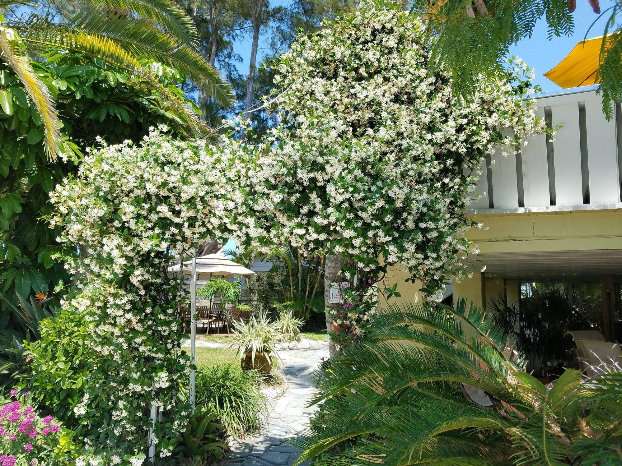 Cedar Cove Resort and Cottages