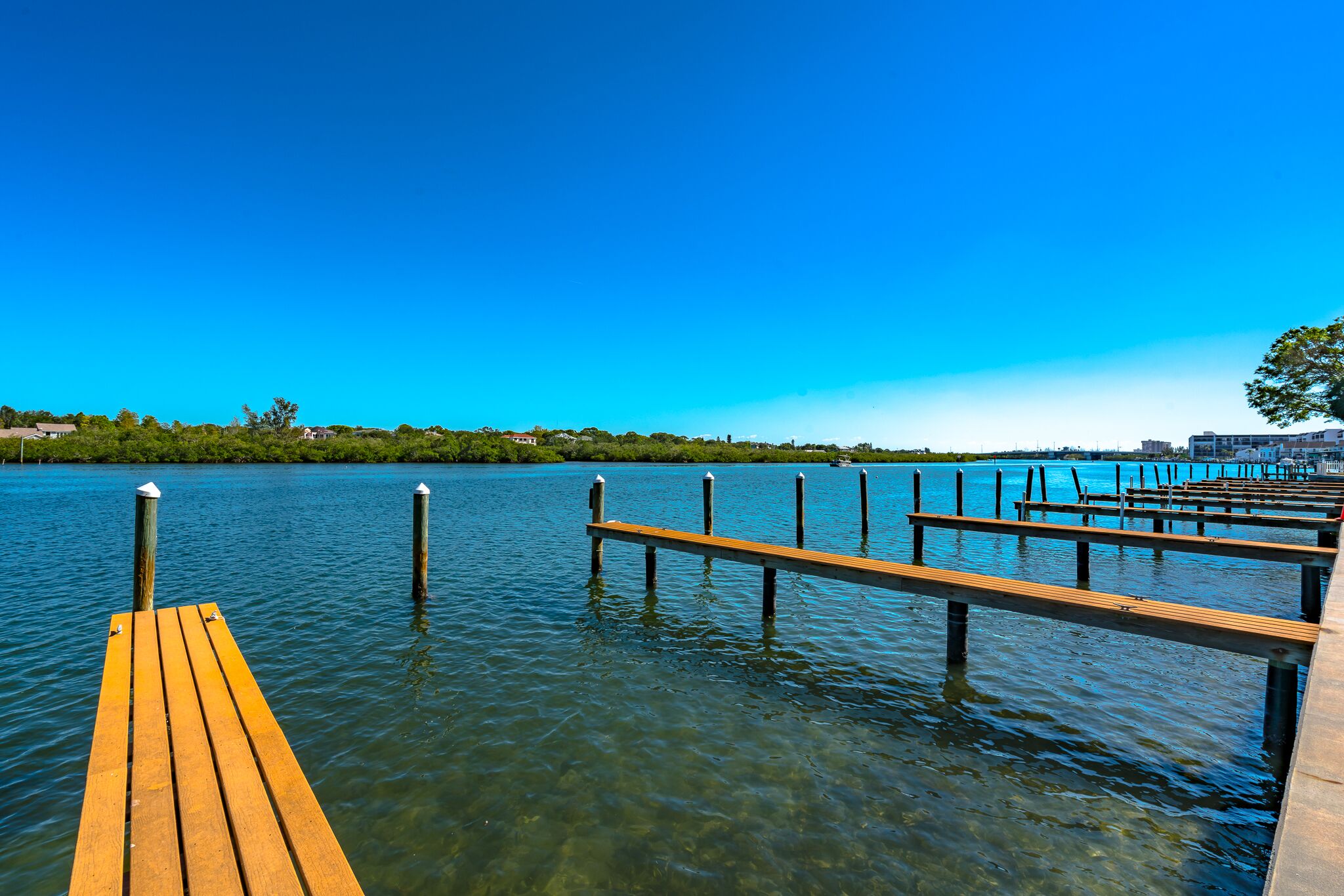 Bayshore Yacht & Tennis Club Luxury Condominiums
