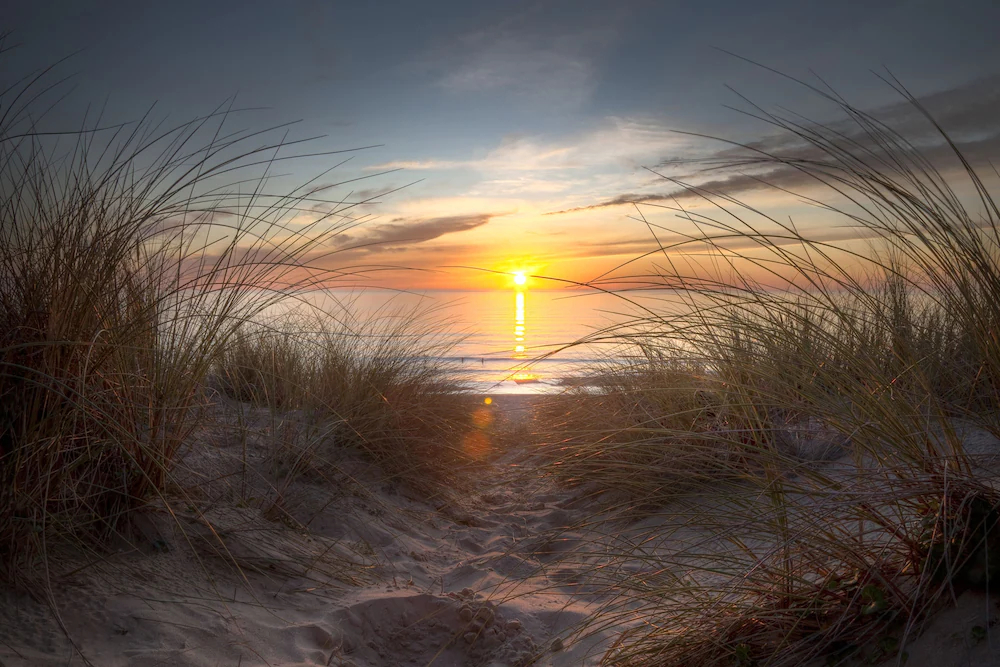 Element Jacksonville Beach