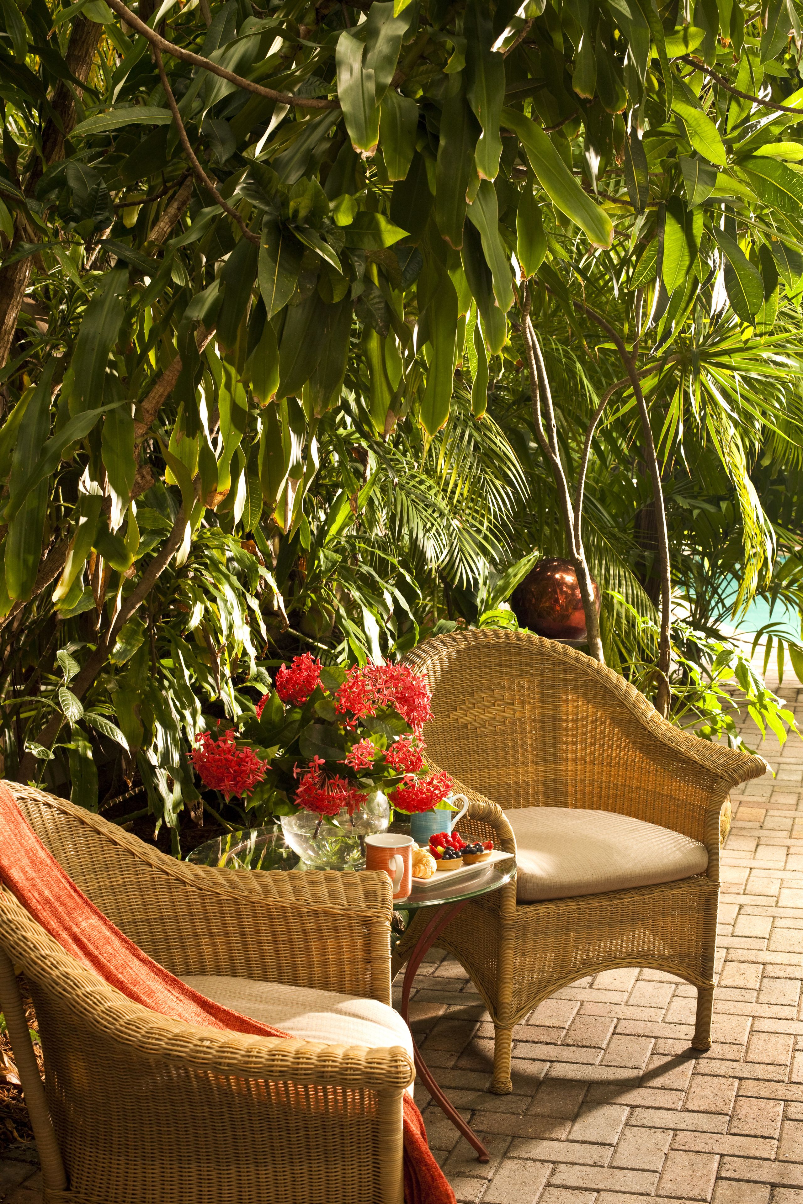 Tropical Inn