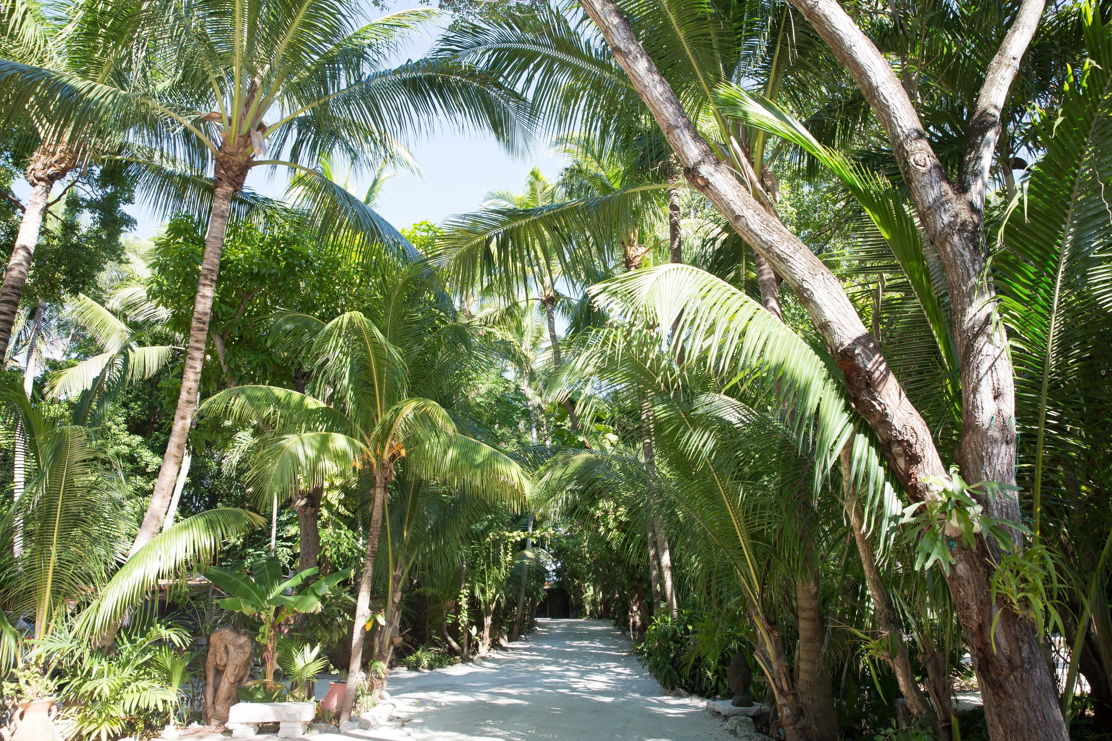 Largo Resort