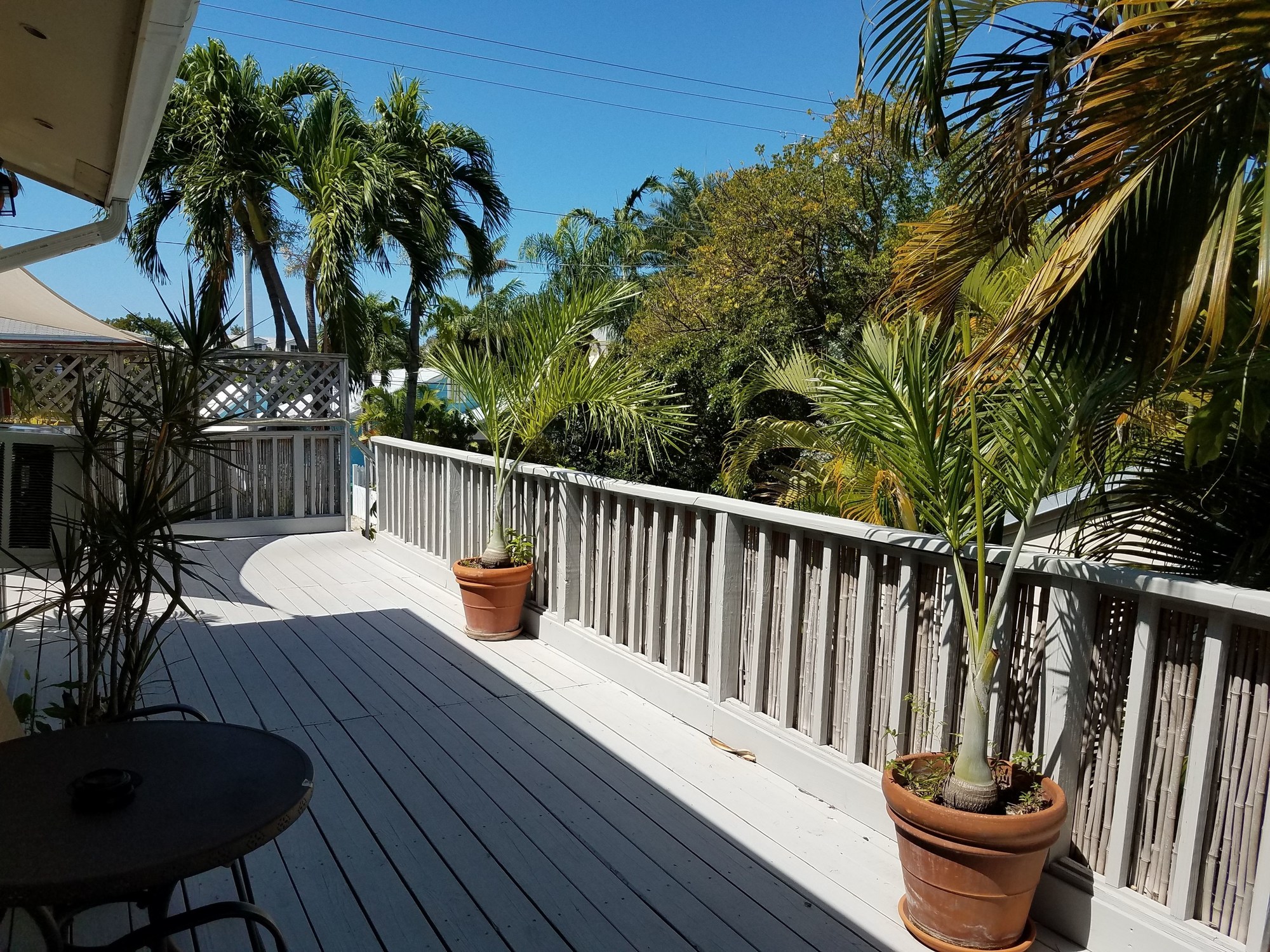 Authors of Key West