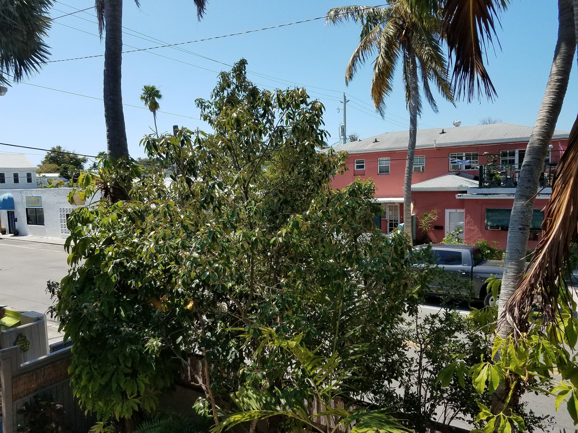 Authors of Key West