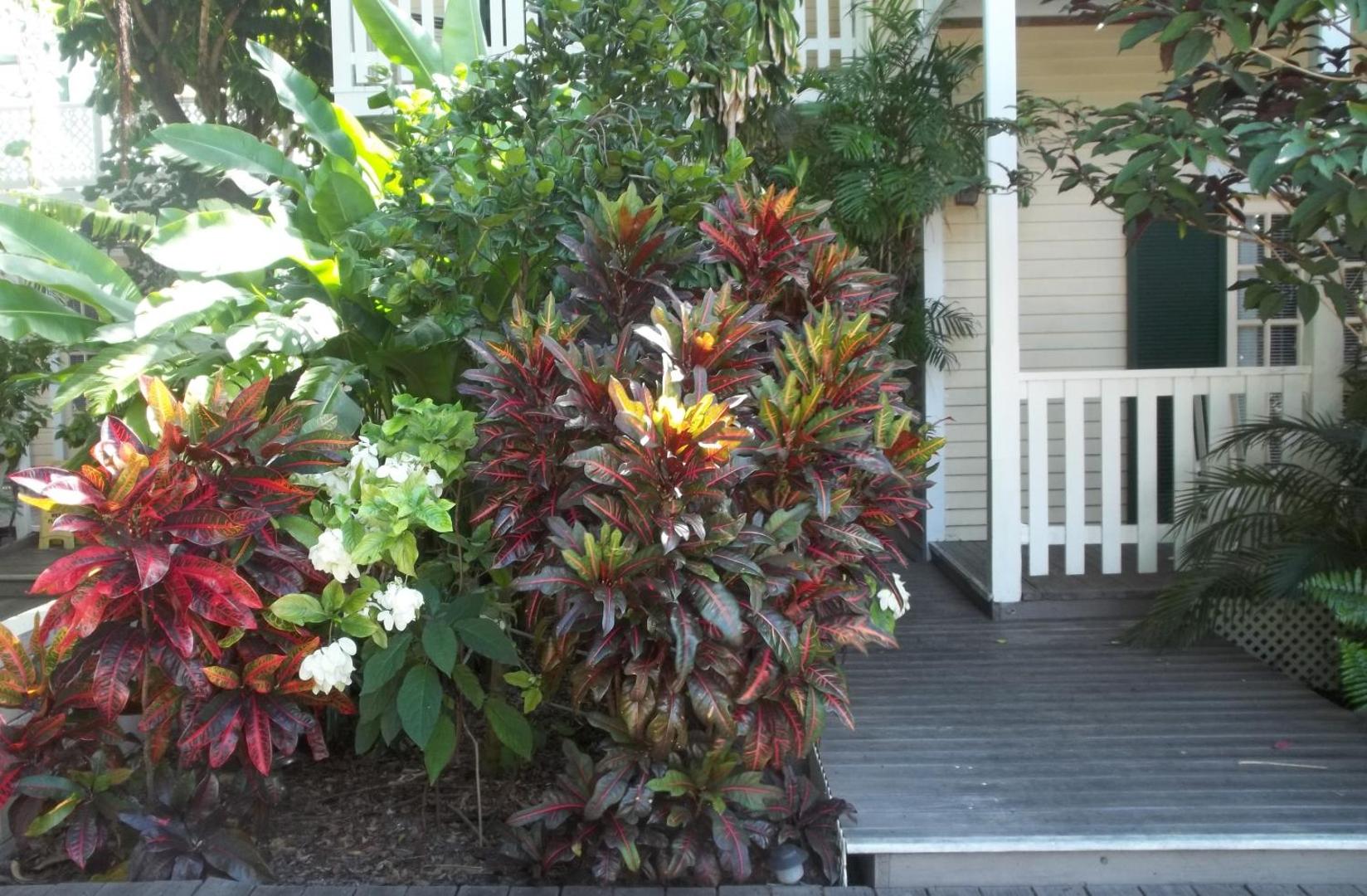 Duval House