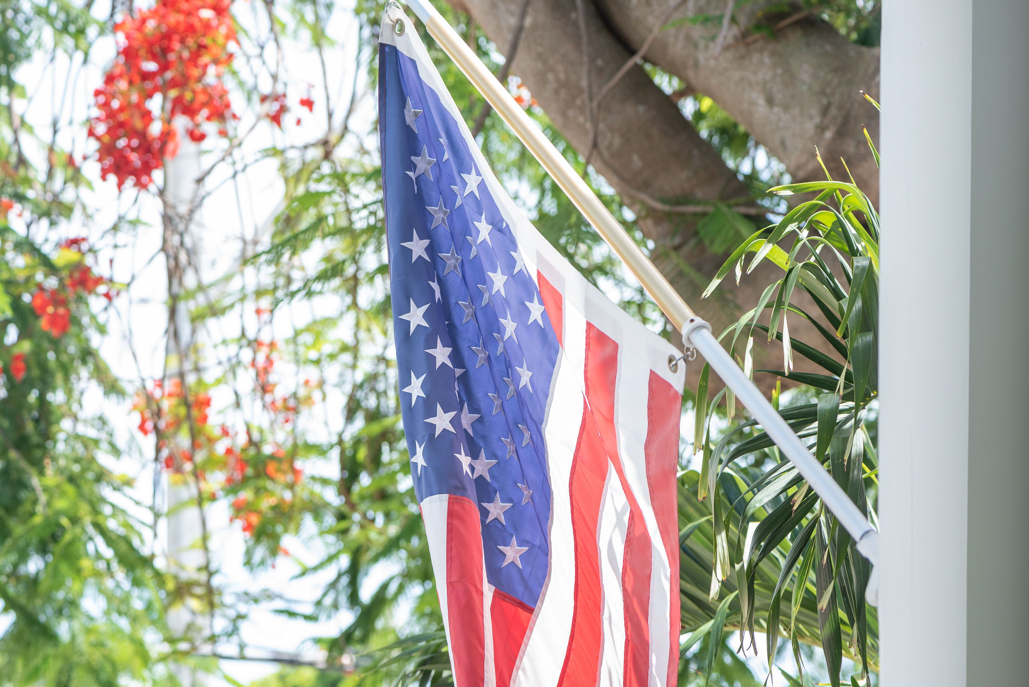 Frances Street Bottle Inn