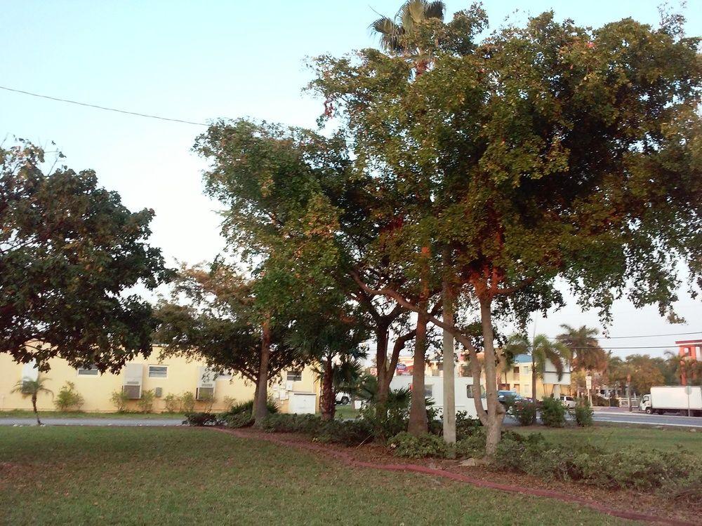 The Laureate Key West