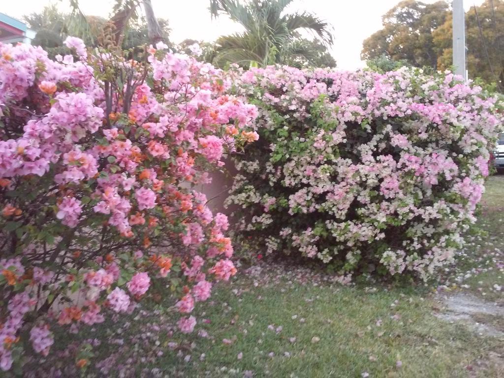 The Laureate Key West