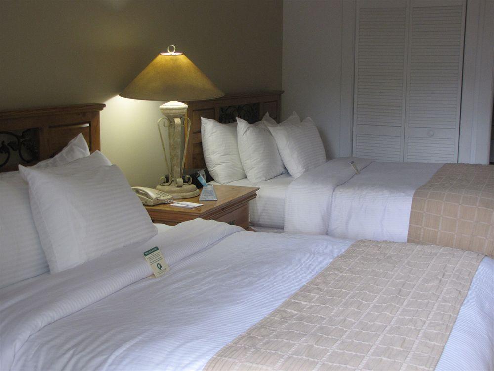 Paradise Inn