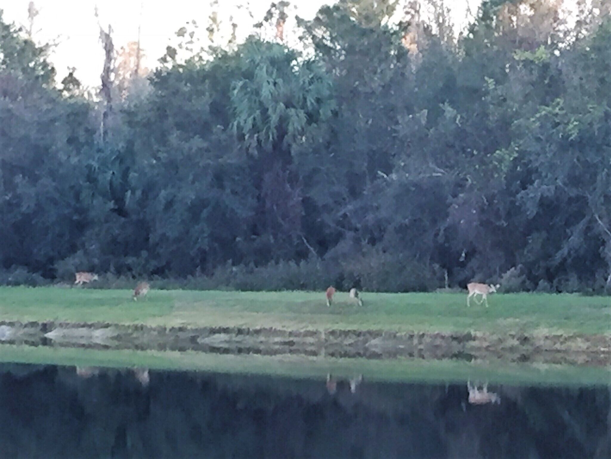 Cumbrian Lakes Villas