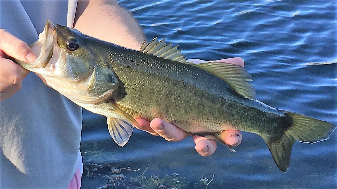Cumbrian Lakes Villas