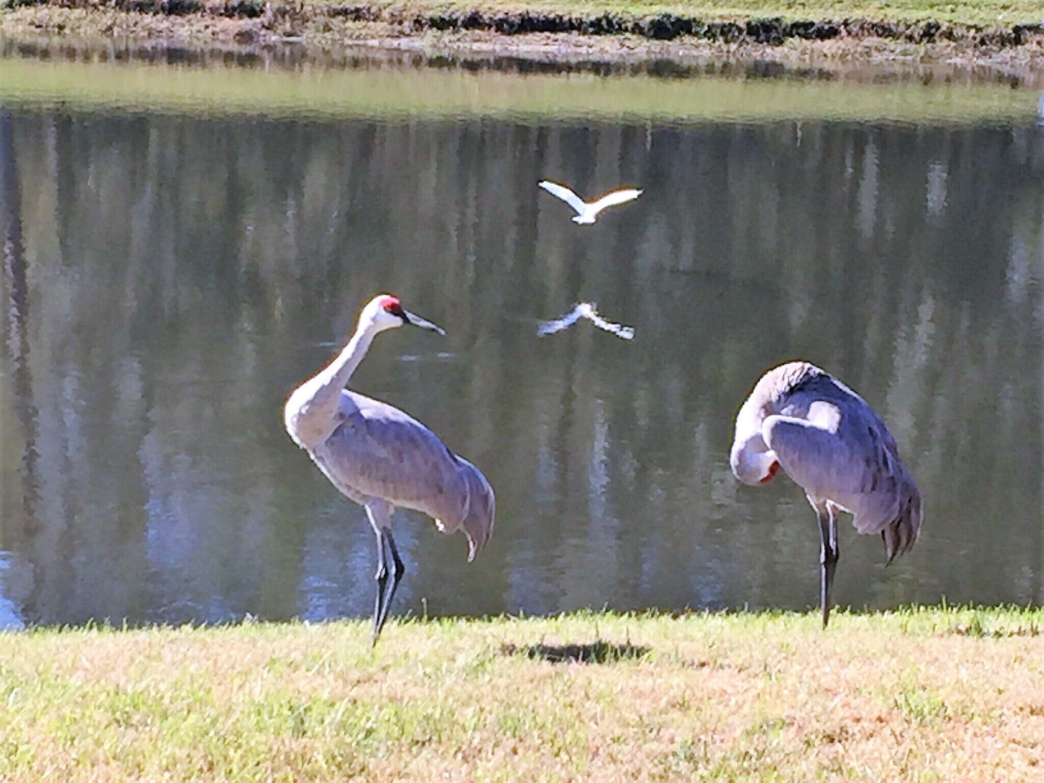 Cumbrian Lakes Villas