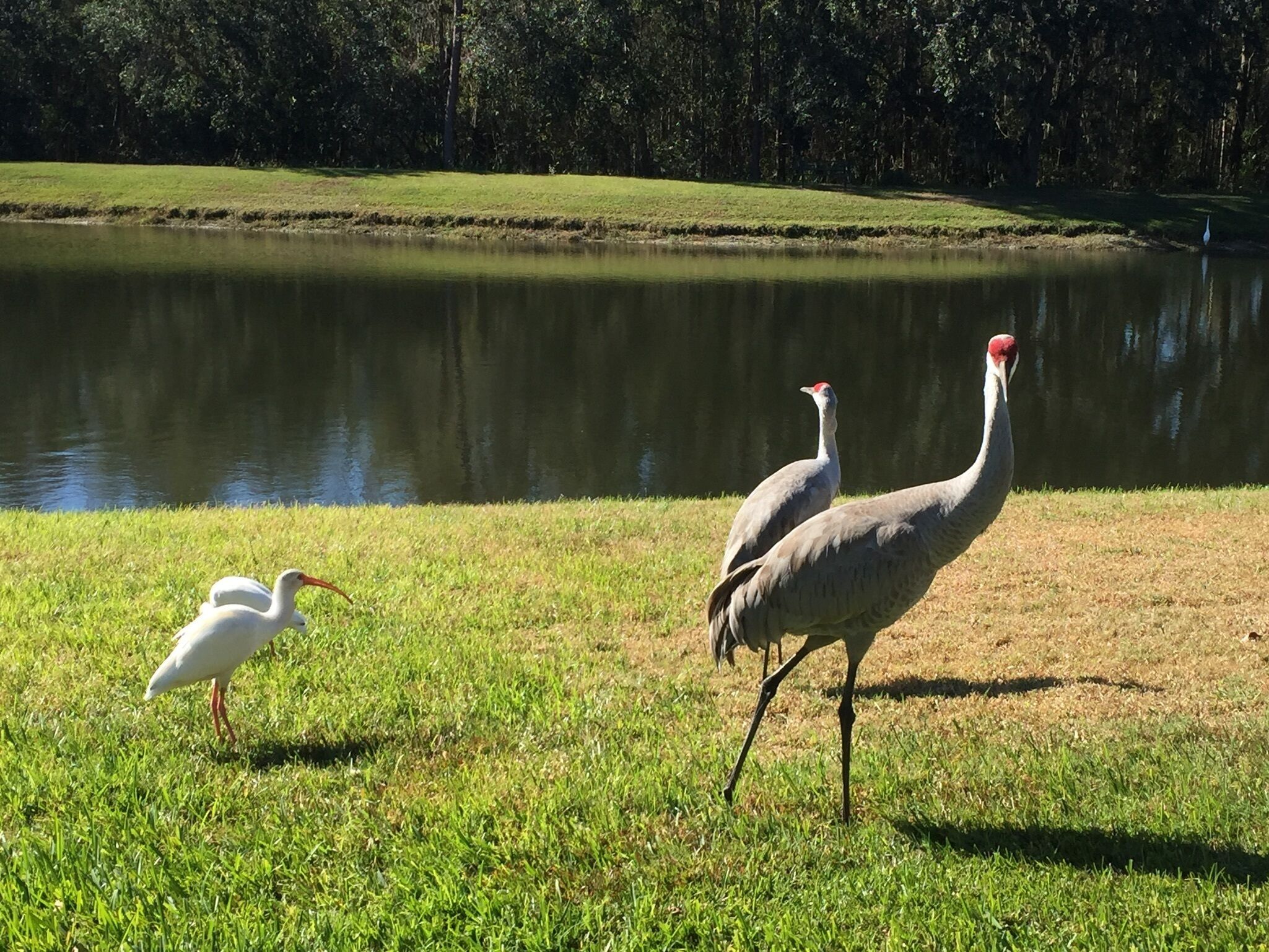 Cumbrian Lakes Villas