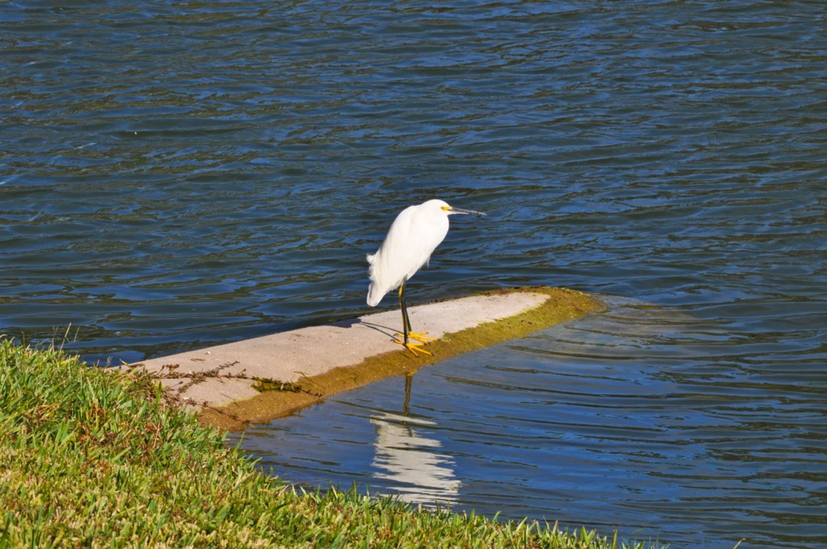 Emerald Island Resort