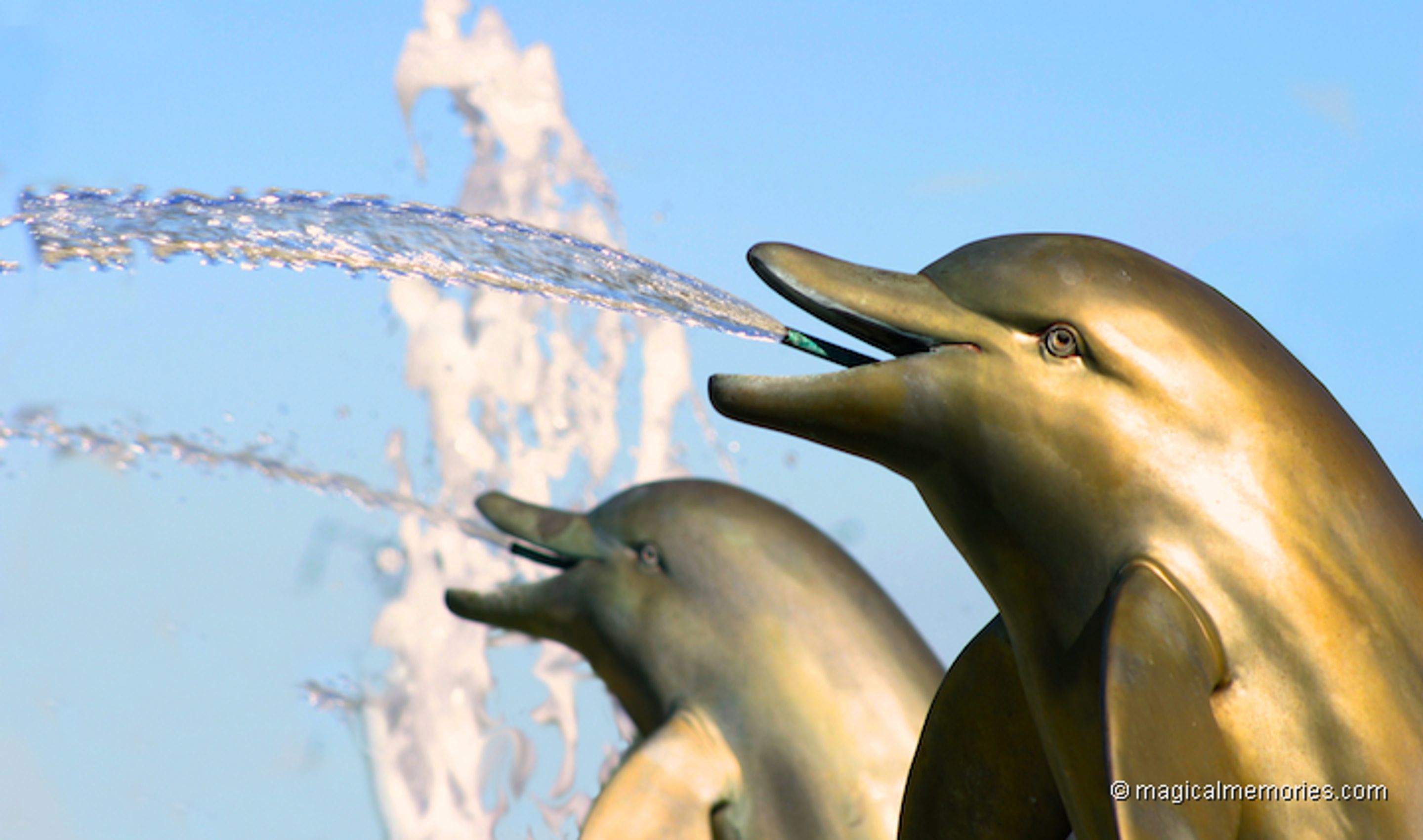 Emerald Island Resort