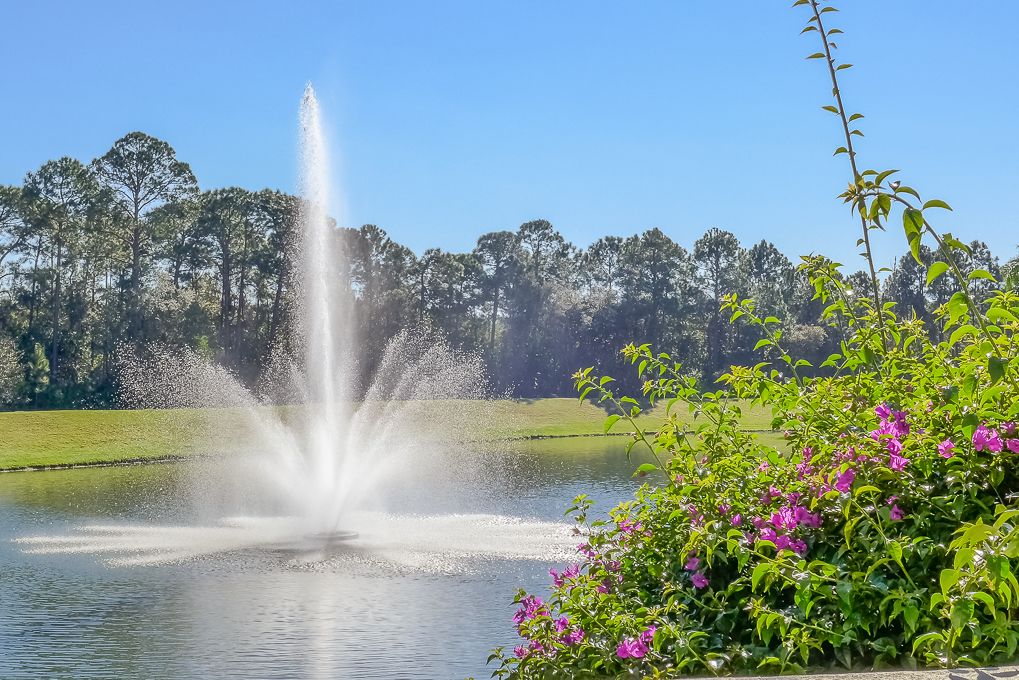 Emerald Island Resort