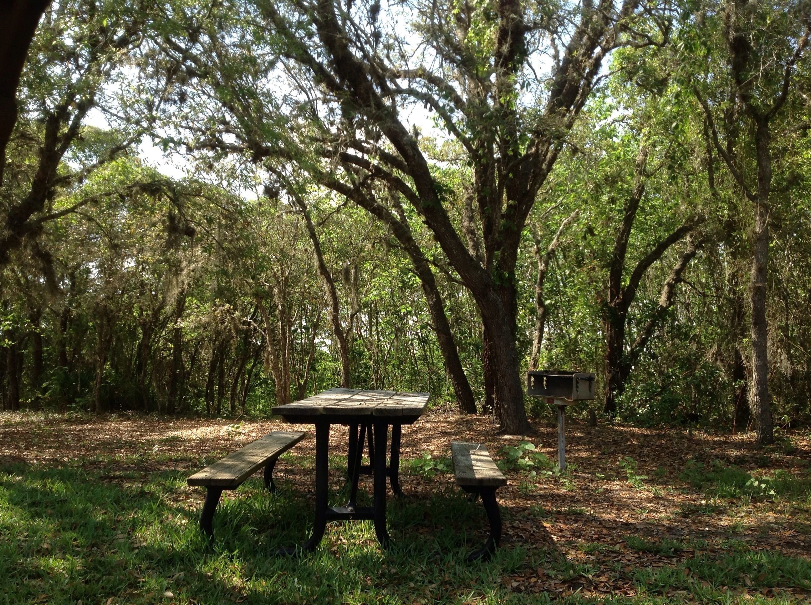 Emerald Island Resort