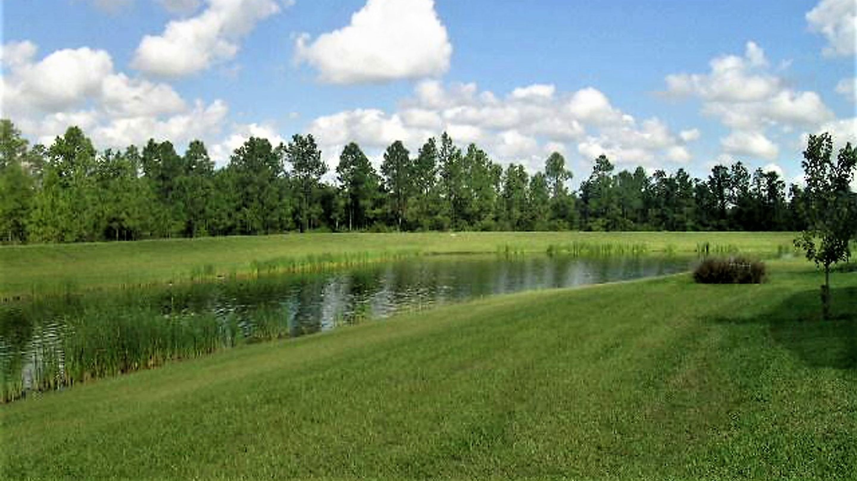 Emerald Island Resort